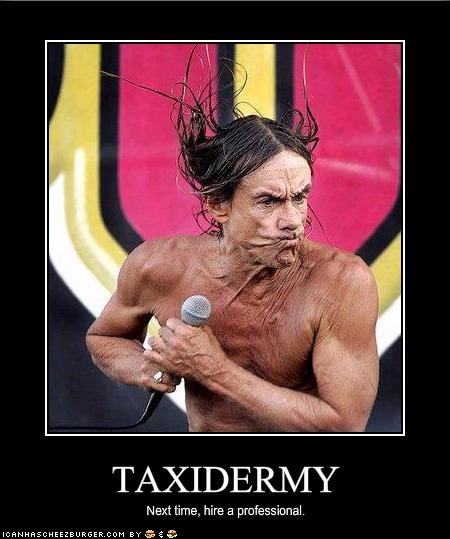 TAXIDERMY