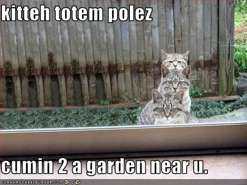 kitteh totem polez  cumin 2 a garden near u.