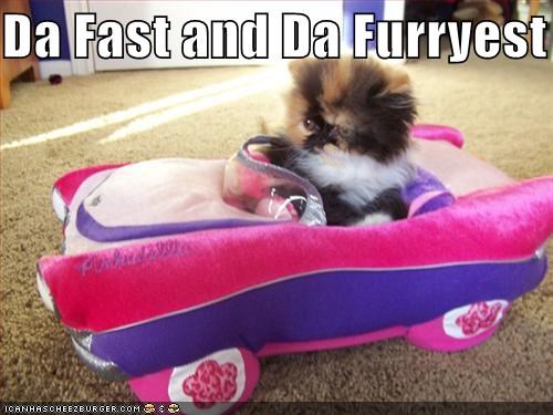 Da Fast and Da Furryest