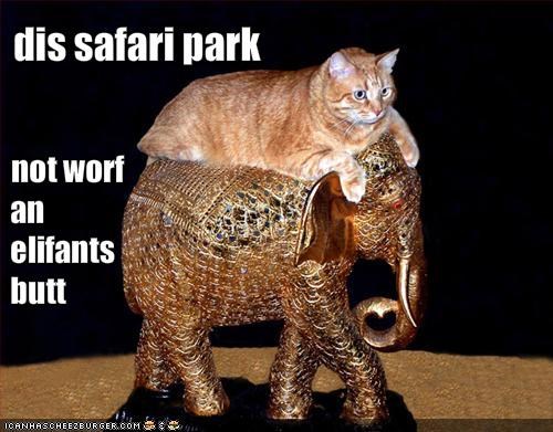 dis safari park