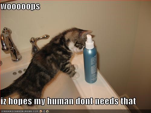 wooooops  iz hopes my human dont needs that
