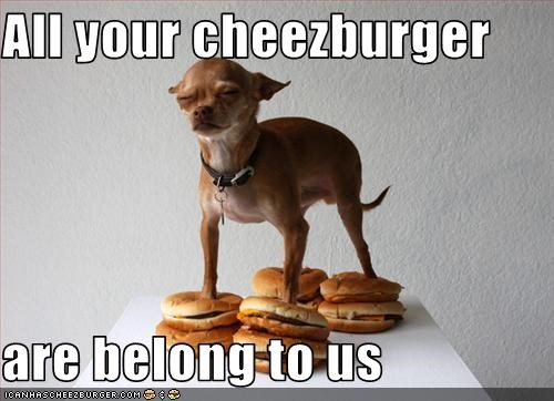 All your cheezburger  are belong to us