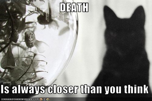 DEATH  Is always closer than you think