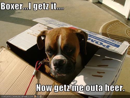 Boxer...I getz it....  Now getz me outa heer.