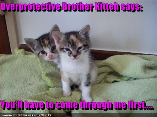 Overprotective Brother Kitteh says:  You'll have to come through me first....