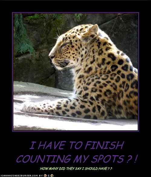 I HAVE TO FINISH COUNTING MY SPOTS ? !