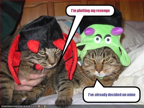 I'm plotting my revenge