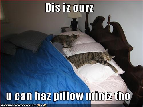 Dis iz ourz  u can haz pillow mintz tho