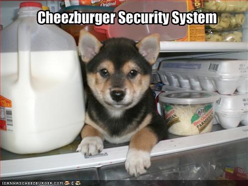Cheezburger Security System