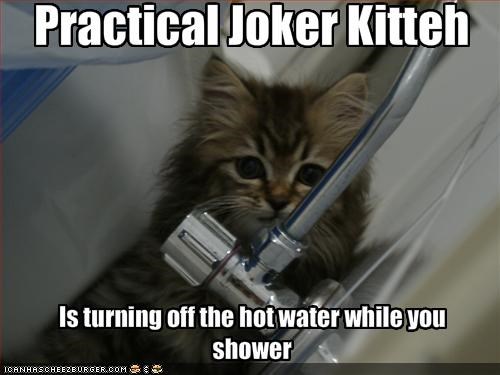 Practical Joker Kitteh