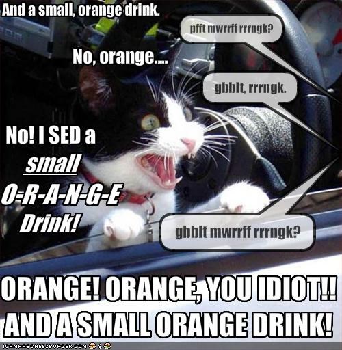 And a small, orange drink.