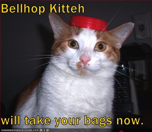 Bellhop Kitteh   will take your bags now.