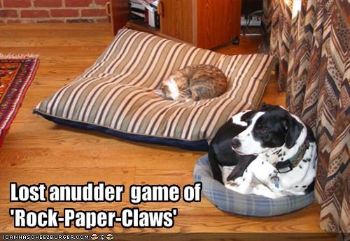 Lost anudder  game of 'Rock-Paper-Claws'