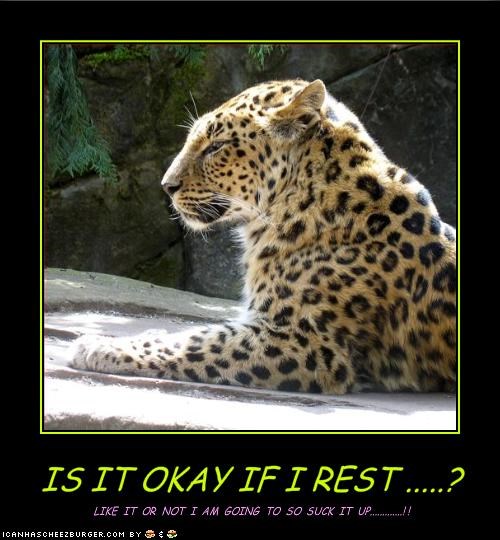 IS IT OKAY IF I REST .....?