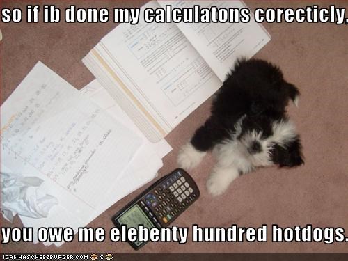 so if ib done my calculatons corecticly,  you owe me elebenty hundred hotdogs.