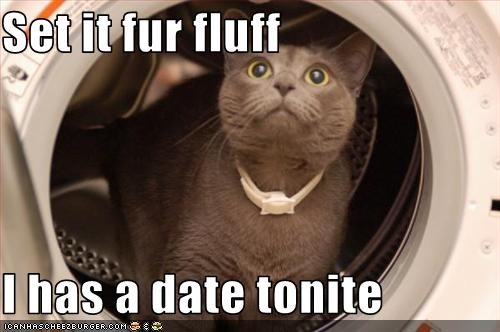Set it fur fluff  I has a date tonite