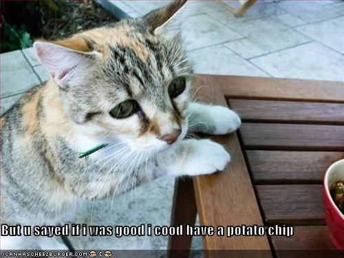 But u sayed if i was good i cood have a potato chip