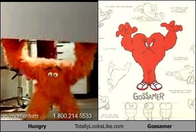 Hungry Totally Looks Like Gossamer