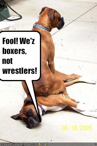 Fool! We'z boxers, not wrestlers!