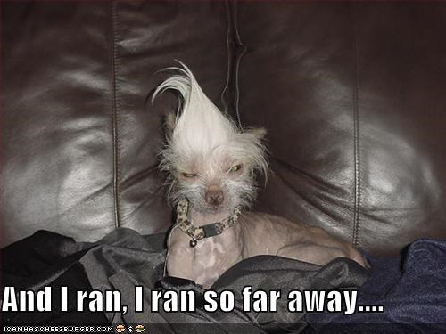 And I ran, I ran so far away....
