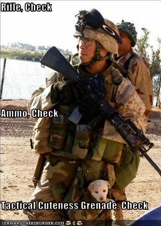 Rifle, Check Ammo, Check Tactical Cuteness Grenade, Check