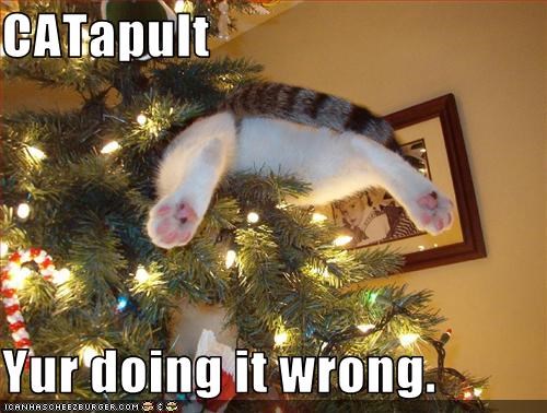 CATapult  Yur doing it wrong.