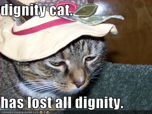 dignity cat.  has lost all dignity.