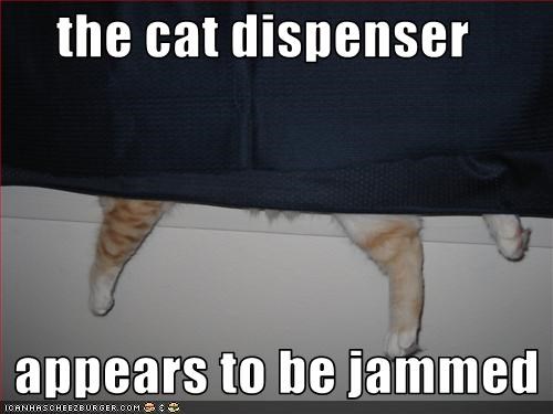 the cat dispenser     appears to be jammed