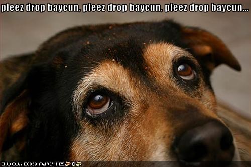 pleez drop baycun, pleez drop baycun, pleez drop baycun...