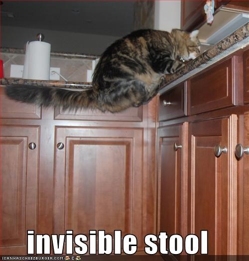 invisible stool