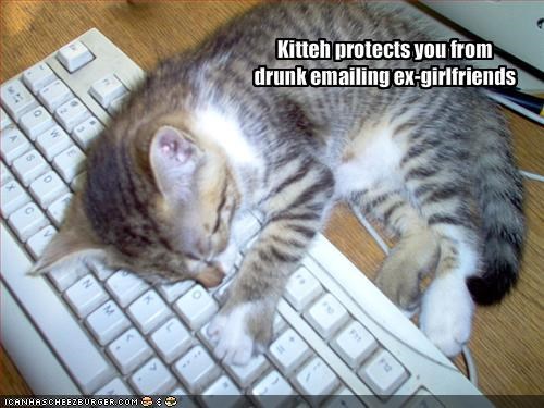 Kitteh protects you fromdrunk emailing ex-girlfriends