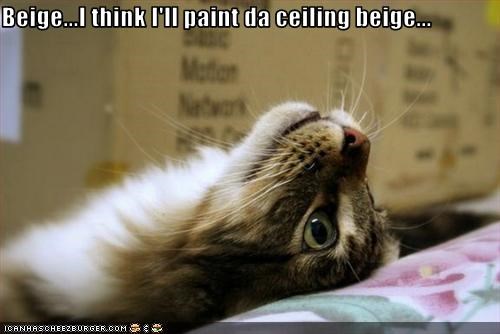 Beige...I think I'll paint da ceiling beige...