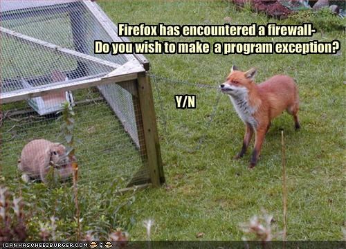 Firefox has encountered a firewall-Do you wish to make  a program exception?