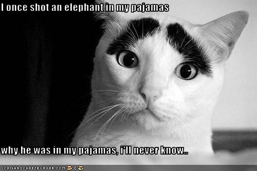I once shot an elephant in my pajamas  why he was in my pajamas, i'll never know..