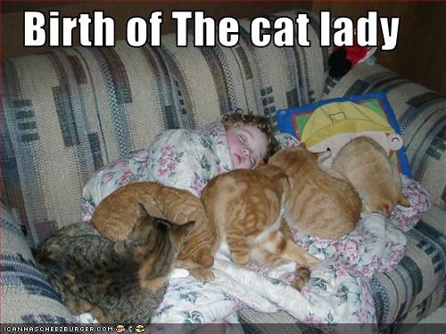Birth of The cat lady