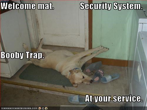 Welcome mat.               Security System. Booby Trap. At your service.