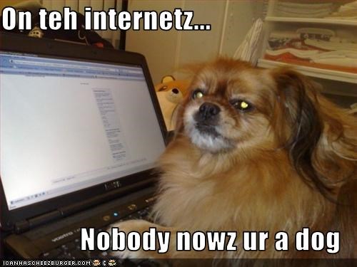 On teh internetz...  Nobody nowz ur a dog
