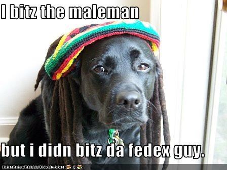 I bitz the maleman  but i didn bitz da fedex guy.
