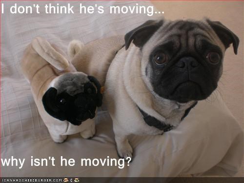 I don't think he's moving...  why isn't he moving?