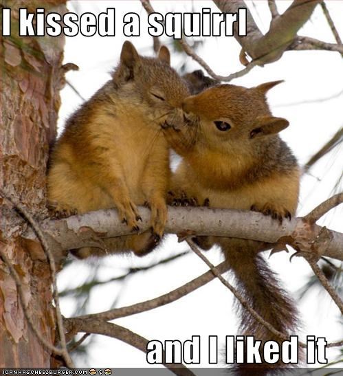 I kissed a squirrl  and I liked it