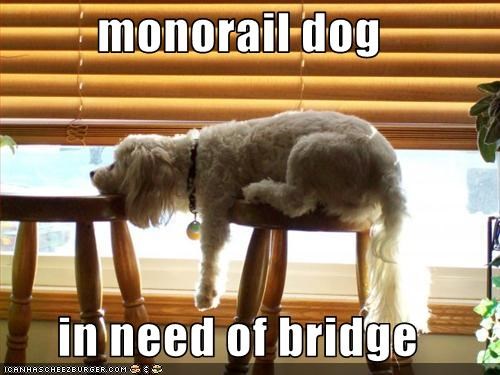 monorail dog  in need of bridge