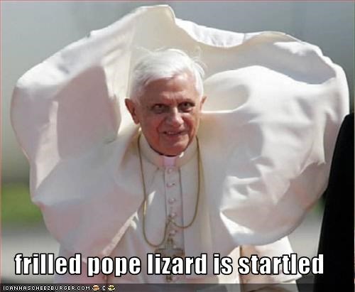 frilled pope lizard is startled