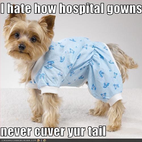 I hate how hospital gowns  never cuver yur tail