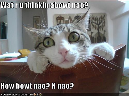 Wat r u thinkin abowt nao?  How bowt nao? N nao?