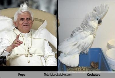 Pope Totally Looks Like Cockatoo