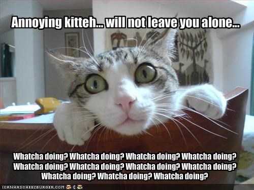 Whatcha doing? Whatcha doing? Whatcha doing? Whatcha doing? Whatcha doing? Whatcha doing? Whatcha doing? Whatcha doing? Whatcha doing? Whatcha doing? Whatcha doing?