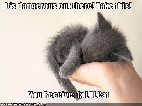 It's dangerous out there! Take this!  You Receive: 1x LOLCat