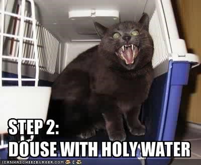STEP 2:DOUSE WITH HOLY WATER