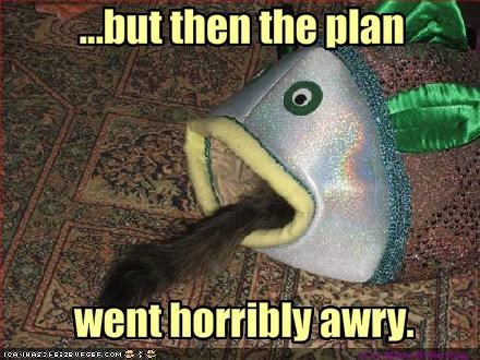 ...but then the plan 