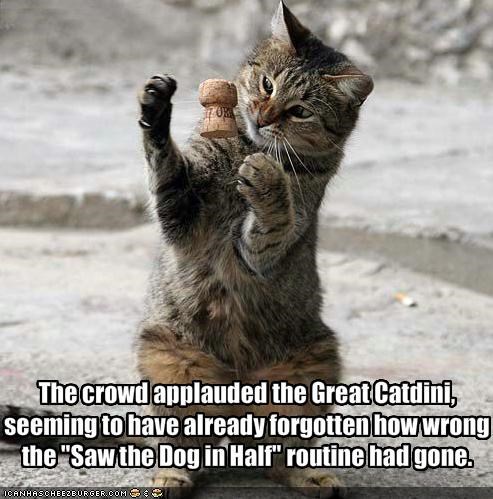 The crowd applauded the Great Catdini, seeming to have already forgotten how wrong the "Saw the Dog in Half" routine had gone.